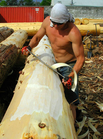 Cut It Yourself Log Home Shell